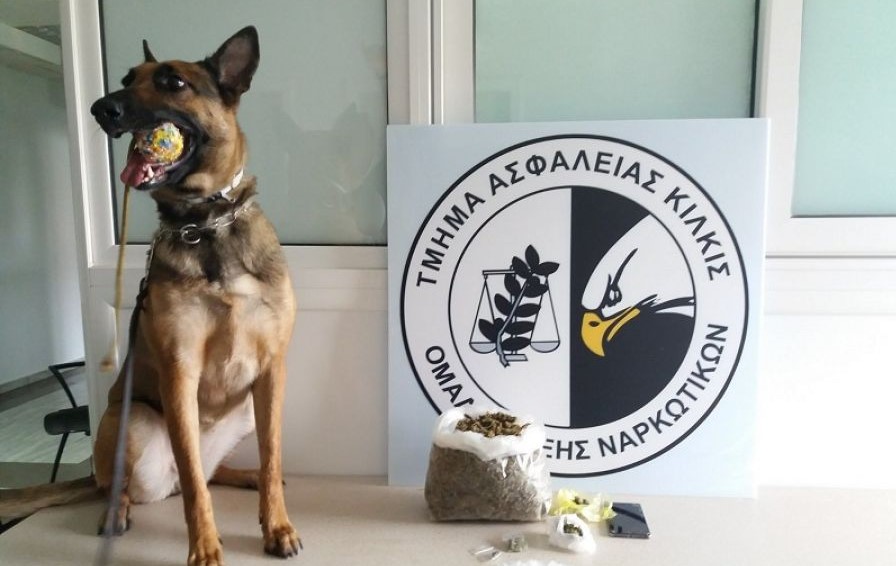 Qeni i zbulon drogën shqiptarit në këmbët metalike të divanit