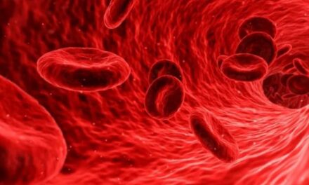 Shkencëtarët përcaktojnë se cili grup gjaku mbron nga COVID-19