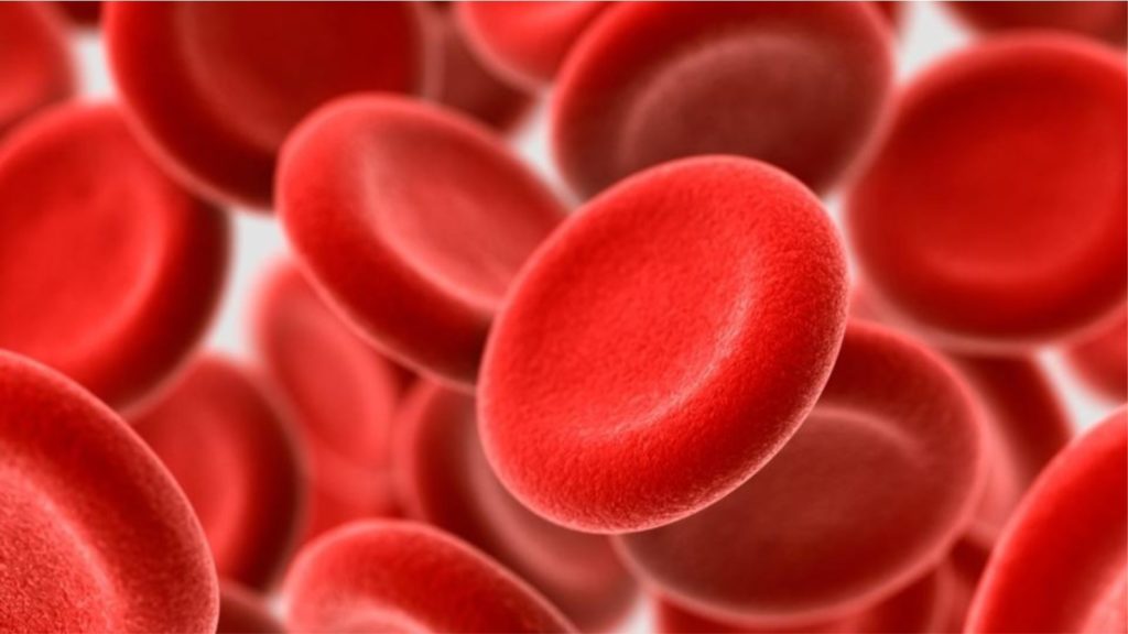Publikohen studimet, personat me këtë grup gjaku rrezikojnë më pak nga koronavirusi