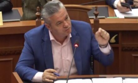 Deputeti bën deklaratën e papritur në Kuvend: Të premten do shkarkoni Sandër Lleshajn, do ta bëni deputet