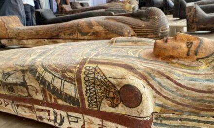 Befasia e 100 sarkofagëve antikë të zbuluar në Egjipt (pamje)
