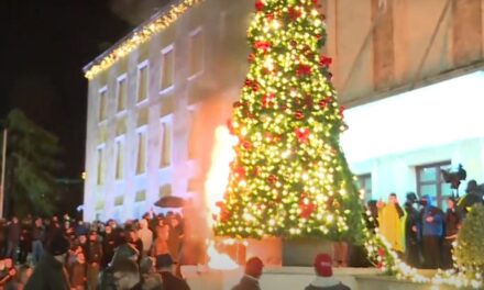 Policia arreston të riun që dogji pemën e Krishtlindjeve gjatë protestës