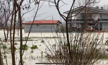 ‘Askush nuk interesohet për ne’; përmbytjet rrënojnë fermerët në Zadrimë