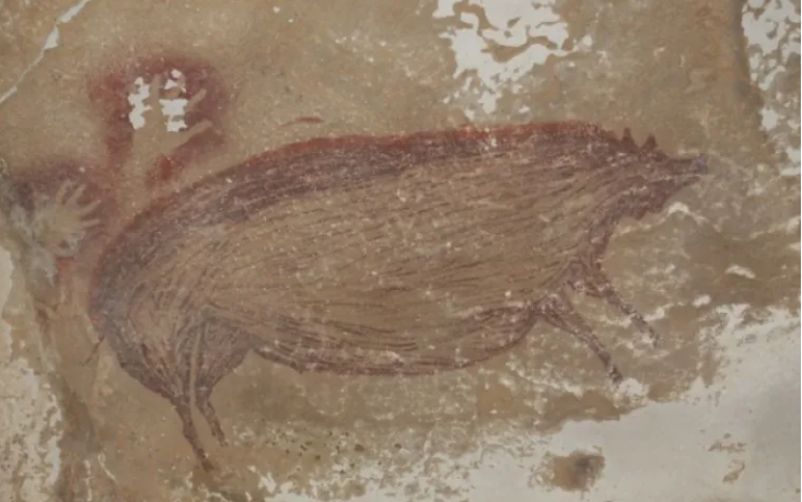 Vizatimi më i vjetër i një kafshe, 45.500 vjet më parë: derr a çfarë?