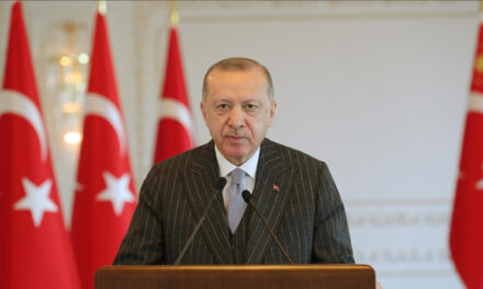 Erdoğan: Viti 2021 do të jetë viti i reformave për Turqinë