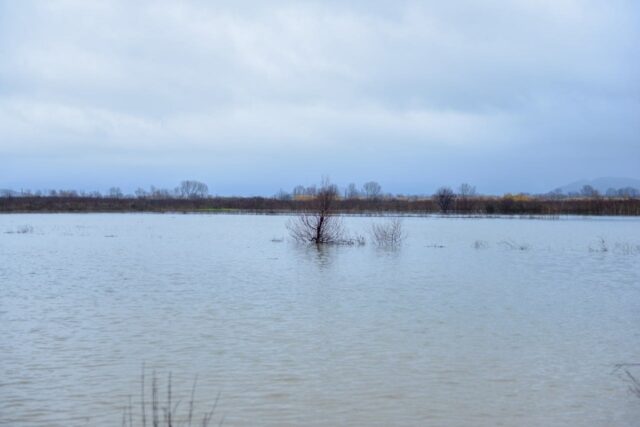 Përmbytjet, Meta: Nuk u dëgjua alarmi nga IGJEUM, shteti të ngrihet në këmbë