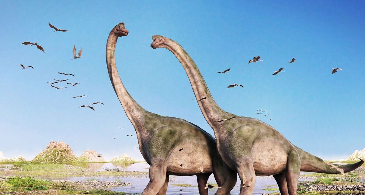 Zbulohen fosilet e krijesës më të madhe që ka ekzistuar ndonjëherë në Tokë