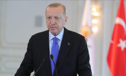 Erdogan: Pse Turqia po sulmohet