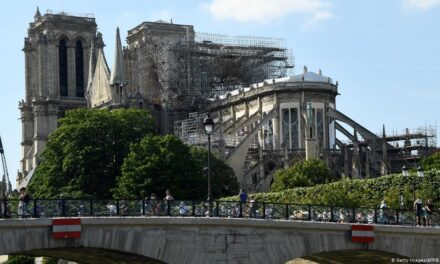 Franca kërkon lisa 200-vjeçarë për të rindërtuar Katedralen
