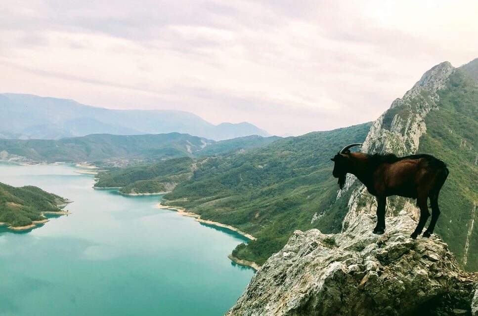 Për çfarë dallohen qarqet kryesore të Shqipërisë?