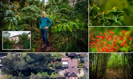 Babai që shpenzoi 30 vite nga jeta për ta shndërruar kopshtin e tij në një “xhungël”
