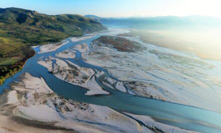 The Guardian për Lumin Vjosa: Si i largoi digat parku i parë kombëtar i lumit të fundit të egër në Evropë
