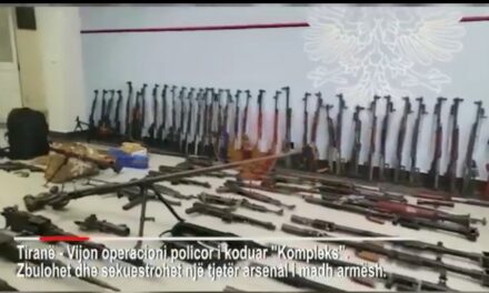 50 automatikë, dhjetëra mijëra fishekë, 19 kundërajrorë… “bilanci” i armëve të sekuestruara në bazën “ushtarake” të Sokol Xhurës