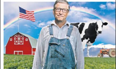 Pse Bill Gates bleu 100 mijë hektarë tokë të punueshme?