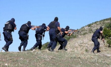 Parcelat me hashash çojnë “shtetin” në Nikël, dhjetëra forca policie “zbarkojnë” në rrethinat e Krujës
