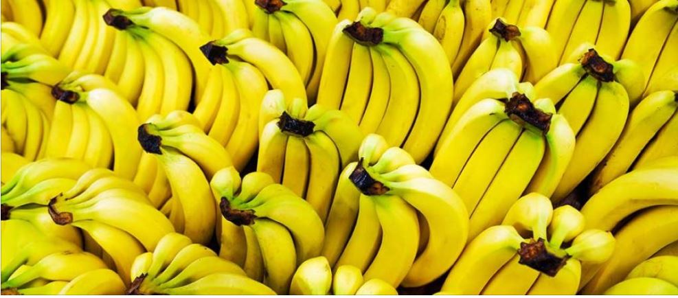 Importi i bananeve u dyfishua në 2020-ën, arrin në 22.3 milionë USD, vijnë vetëm nga Ekuadori
