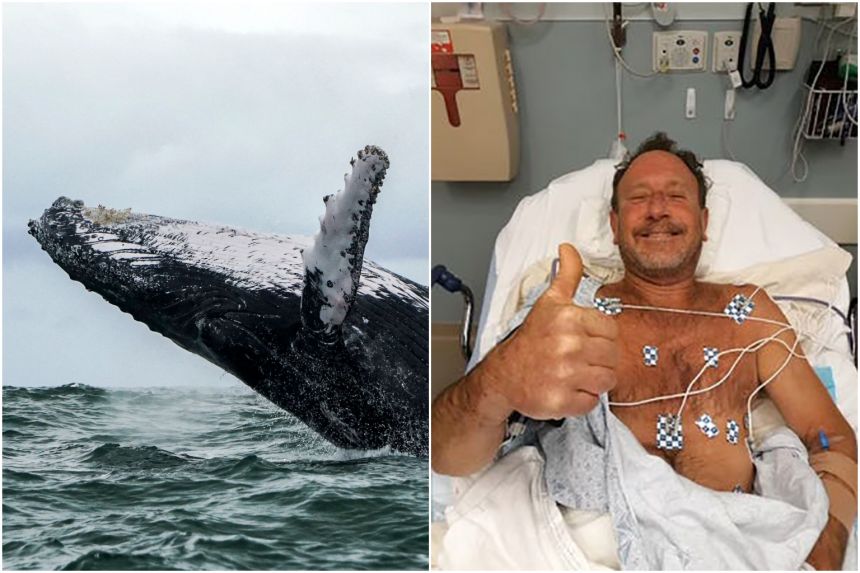 E pazakontë! 56-vjeçari u gëlltit nga balena dhe doli i gjallë nga goja e saj