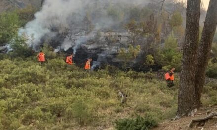 Peleshi: Nën kontroll pjesa më e madhe e zjarreve, sfidë mbetet Karaburuni