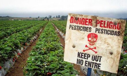 Skandali me pesticidet kineze/ SPAK-ut, i lidhin duart zyrtarët e lartë të politikës?