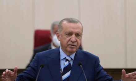 Erdogan: Turqia synon të ruajë sigurinë e Aeroportit të Kabulit