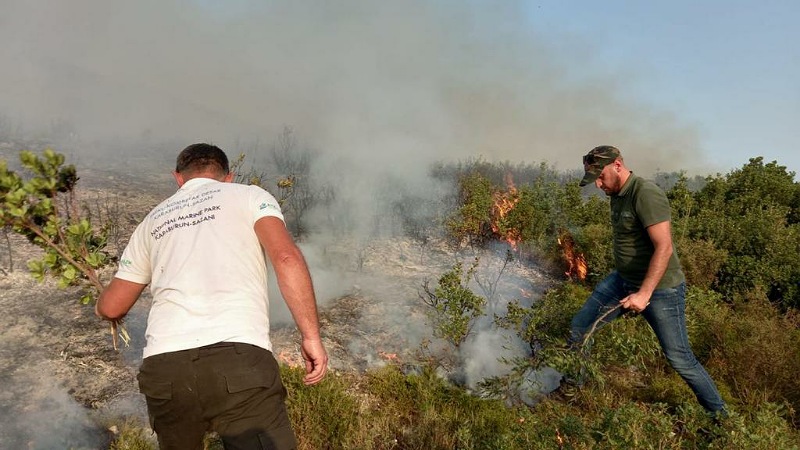 Zjarri në Karaburun, Peleshi: Pika kritike mbetet kufiri me Parkun e Llogarasë, dyshohet për zjarrvënie të qëllimshme
