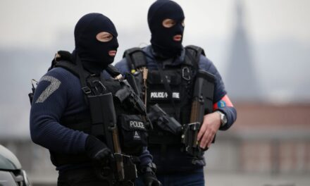 Raporti i Europol për trafikun e kokainës, çfarë thotë për bandat shqiptare