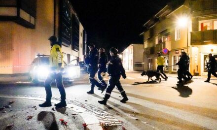 Terror në Norvegji, një burrë i armatosur me hark dhe shigjeta vret disa persona