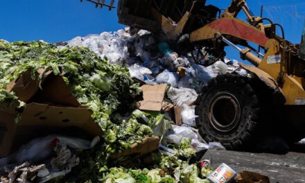 Kalifornia do riciklojë mbetjet ushqimore për t’i kthyer në energji