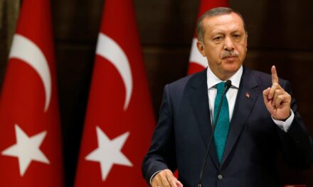 Erdogan kundër mediave sociale, ligj për lajmet e rreme