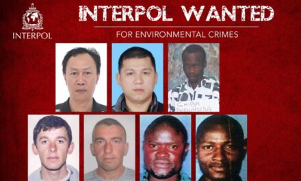 Si përfunduan dy blegtorë shqiptarë në listën e më të kërkuarve të Interpolit