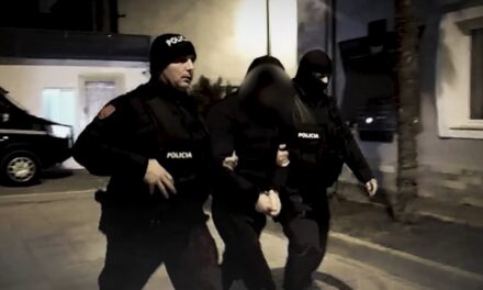 Bilanci javor i Policisë: 10 operacione dhe 34 të arrestuar