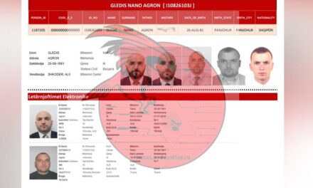 Hakerat publikojnë të dhënat e sistemit TIMS për Gledis Nanon