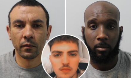Masakruan të riun shqiptar në Britaninë e Madhe, shpallen fajtor dy persona