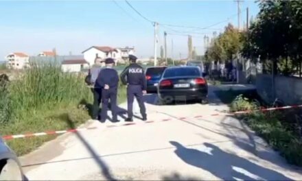 Vrasja e 34-vjeçarit në zonën e Fushë-Krujës, Indrit Ndoji u godit me kaçavidë